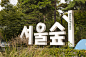 韩国,首尔,地形,森林,自然,草地,水平画幅,无人,城镇,蓝色