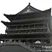 旅游:（一）西安、华山、洛阳、郑州六日游(华清池）, 这花真好看旅游攻略