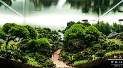 AK16采集到鱼缸造景