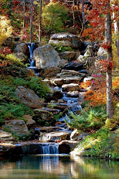 双份长颈鹿采集到滨水-栈道-湿地