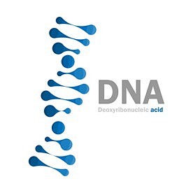 科技DNA分子元素图片