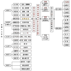 D-Luciferin采集到图形树形