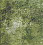 Green Moss Texture #PhotoshopArchitecture