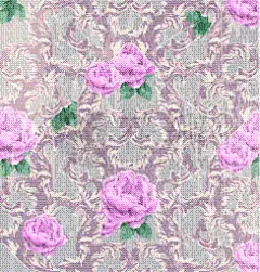 玫瑰,巴洛克风格,自然美,式样,分离着色,白色,自然,华丽的,高雅,装饰