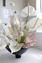 We’ve seeing a sudden surge of red anthuriums with waxy, spade-shaped leaves in floral arrangements. Native to warm climates from Hawaii to Mexico to the Caribbean, anthuriums also come in shades of green, pink, and white (our favorite—and the color we’re