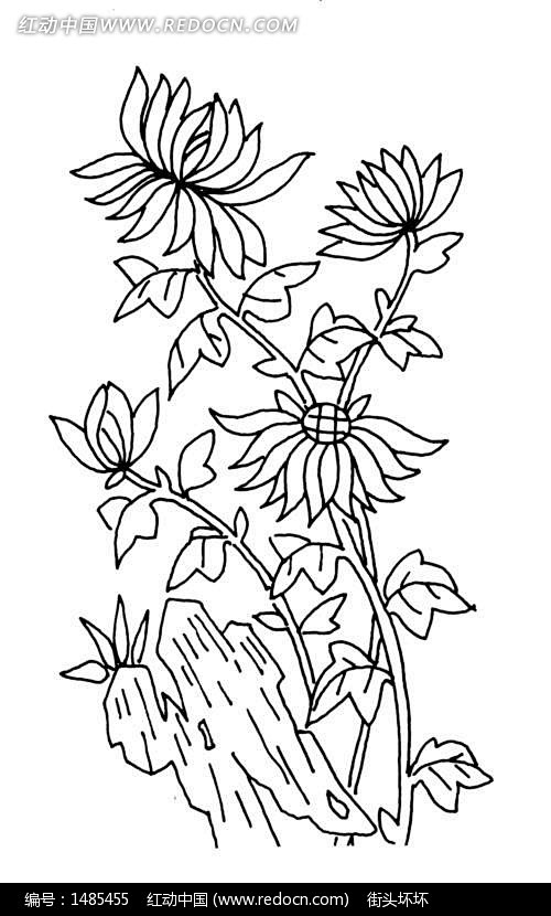 矢量美丽的花朵花瓣叶子插画图像白色背景|...