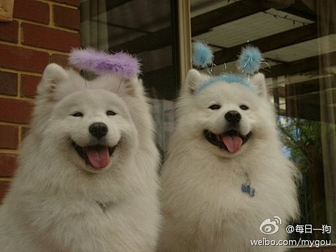 你就是我的天使，给我快乐的天使，从此我再...