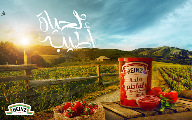 Heinz Tomato Paste
