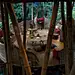 林间竹屋——夏尔玛春天