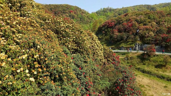 汽车之家|四月艳阳天，正是山花烂漫时，欧...