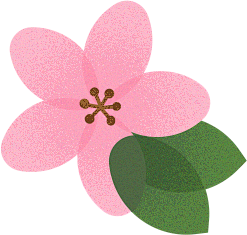 植物素材png