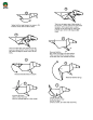 趣味折纸—教你用纸折小狗的方法
