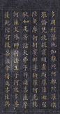 林则徐楷书《无量寿经墨宝册》