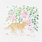 花间小猫集合 - 小红书