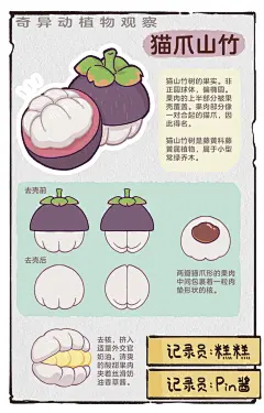 每吃一个猫爪山竹，就会有一只猫猫失去… - 小红书