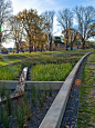 Edinburgh Gardens Raingarden: Sweet project!: 