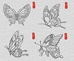蝴蝶线描素材 - 小红书