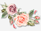 卡通唯美鲜花高清素材 唯美 春天 植物 水墨 玫瑰花 鲜花 元素 免抠png 设计图片 免费下载 页面网页 平面电商 创意素材