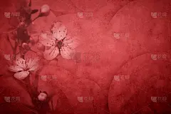 鲜花明信片