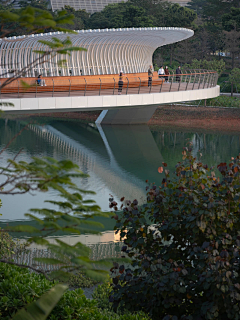 xingjianshikun采集到观景平台