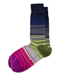 Higgle Striped Socks, Navy