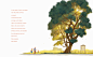 ILLUSTRATION  Picture book Ryan G. Van Cleave Tree  Witness witnesstrees