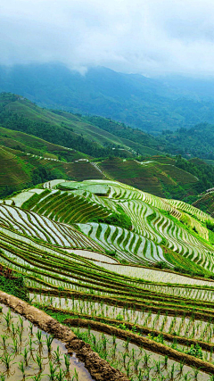 Pakcho采集到风景背景