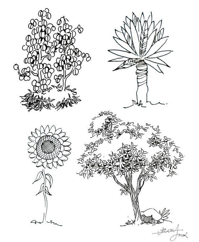 景观植物手绘技巧，太牛了，再也不... ...