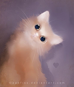 xiaobaim采集到超好看的小猫咪