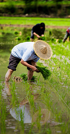 吱吱雅采集到· Humanity︱人间：Photography