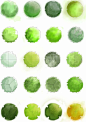 tree plan