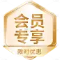电商促销活动金色矢量会员标签元素