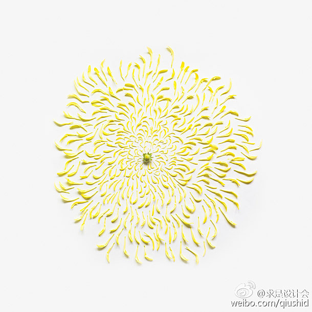 花的解构 by 新加坡艺术家Fong Q...
