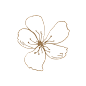手绘樱花免扣元素墨水钢笔花卉插画典雅装饰包装素材设计图形