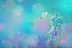 春花绽放的钟声和蝴蝶在大自然的蓝色背景下户外，微距，复制空间。神奇的月光。青色