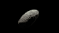 Asteroid Maker, CGMonkeyKing ! : A personal work to showoff a houdini digital asset to make asteroids.