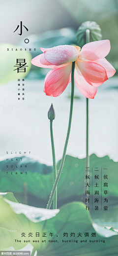 没离开过AI采集到小暑