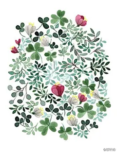 Anna Emilia Laitinen 芬兰绘本画家。#花#