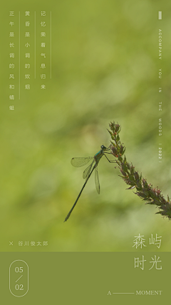 静涛0604采集到24节气