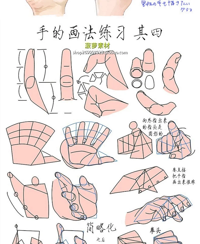 手的绘画练习 基础造型 手部结构 CG 原画 插画 动漫 参考素材-淘宝网-花瓣网