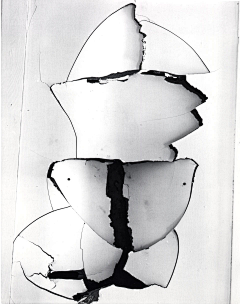 peggysuns采集到Brett Weston