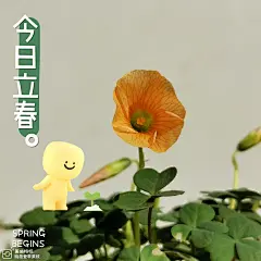 “朋友，春天来了。”  #立春#，万物更生，新岁开启。巴特曼看着破土而出的小草，摘下了厚厚的围脖，尽情感￿307b211ly1gna6bixfk1j21mc1mcdv7