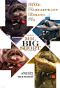 zoo_poster_bigshort