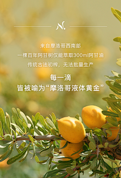 你的猫儿姓梁采集到护肤品素材