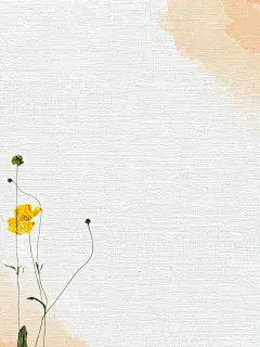 高级背景朋友圈底图_手机壁纸图_海报底图_1_婷婷爱美学_来自小红书网页版