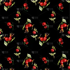 无缝模式。花和果实的玫瑰果水彩画。花的插图。波西米亚花束，花环，婚礼组合，周年纪念，生日，请帖贺卡