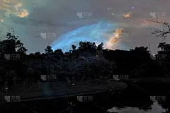 美丽抽象的纹理，彩色的黑白花卉和树木植物森林景观上的黑暗和极光北极星和星星天空银河银河的背景和壁纸