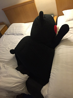 wyyyyyw采集到kumamon