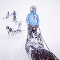 Fjällräven (@fjallravenofficial)'s Instagram Profile on Tofo.me: Instagram Online Viewer