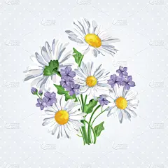 洋甘菊花束。矢量图。完美的背景贺卡和请柬的婚礼，生日，情人节那天，母亲的一天.